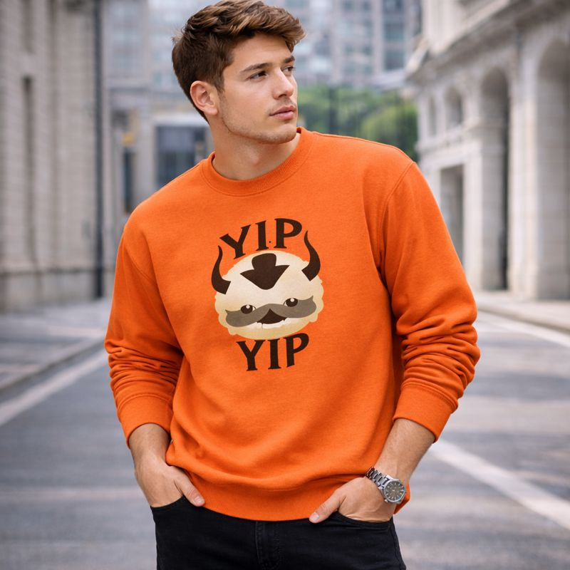 Men’s Avatar The Last Airbender Fleece Sweatshirt – Long Sleeve Anime Graphic Crewneck Pullover